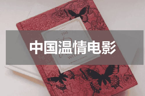 中国温情电影