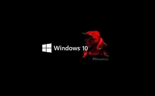 win101903安装很慢解决方法