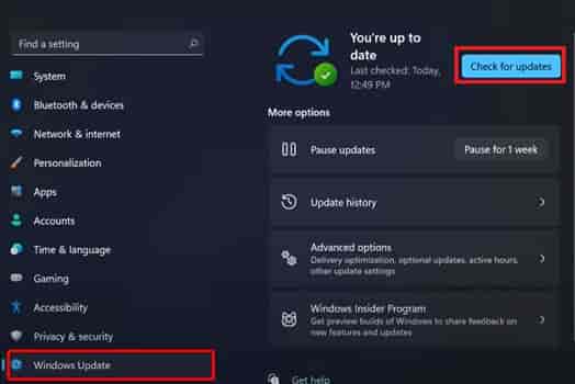 我安装了win11是否能自动更新详情