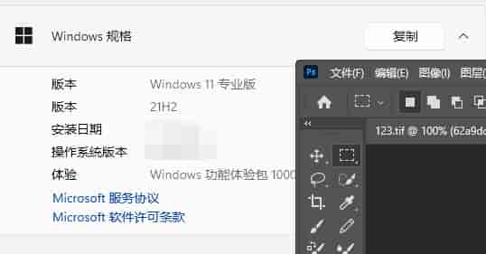 ps cs5支持win11吗