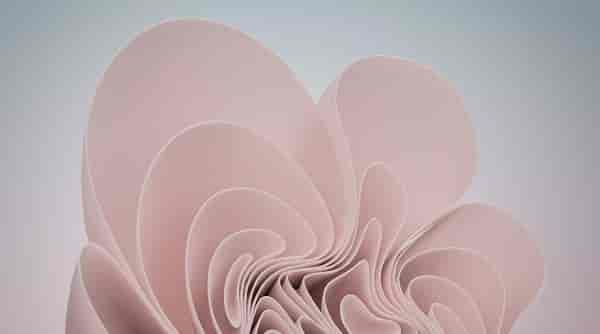 为什么觉得win11卡