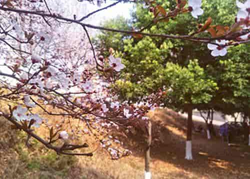 郑州2023年哪个技工学校的高铁乘务专业好