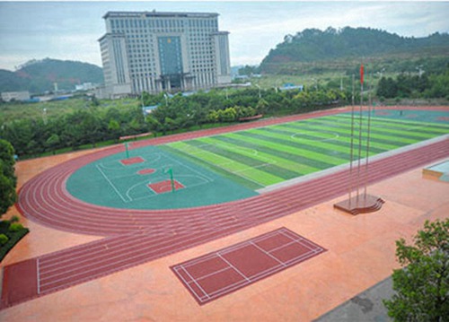 2023年读社会文化艺术专业选择阜阳