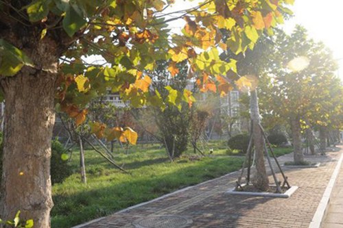 2023年读服装设计与制作专业选择广州哪所大专学校比较好