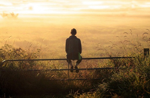 合肥2023年有哪所学校有电机与电器专业