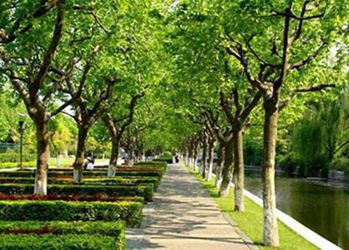 濮阳2023年初中生读学前教育专业哪所学校好