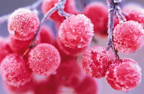 宿州2023年初中生读电子商务专业哪所学校好