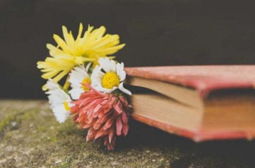 滁州2023年比较好且开设有计算机应