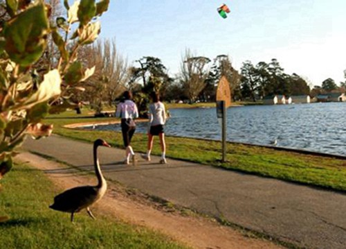 淮南2023年哪个职业学校的电子商务专业好