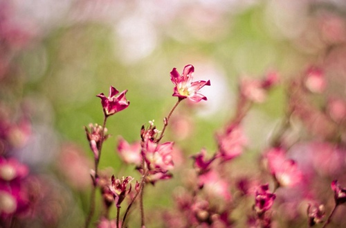 广州2023年读商务文秘专业去哪所学