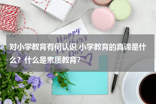 对小学教育有何认识 小学教育的真谛是什么？什么是素质教育？教育资讯网-教育行业资讯百科大全
