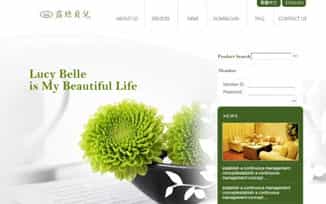 形象网站设计- 公司的网络门面 - 北京传诚信