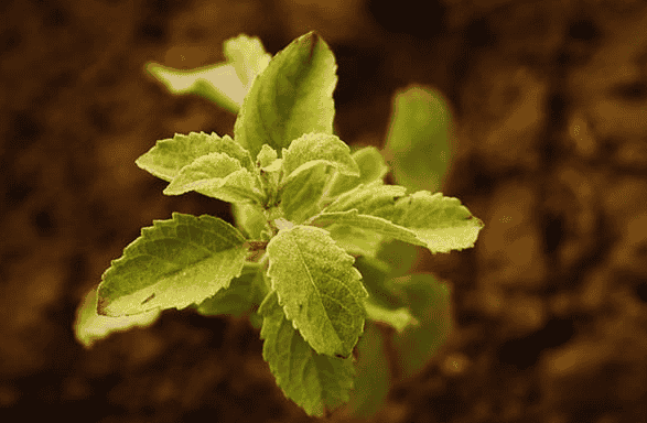 <a href=https://www.kengniao.com/e/search/result/?searchid=51 target=_blank class=infotextkey>网站</a>设计师如何从开源中受益-北京<a href=https://www.kengniao.com/e/search/result/?searchid=51 target=_blank class=infotextkey>网站</a>建设-www.ccxcn.com <a href=https://www.kengniao.com/e/search/result/?searchid=51 target=_blank class=infotextkey>网站</a>设计师如何从开源中受益-北京<a href=https://www.kengniao.com/e/search/result/?searchid=51 target=_blank class=infotextkey>网站</a>建设-www.ccxcn.com