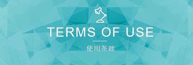 网站设计公司的的网站使用条款怎么