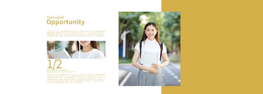 品牌视觉识别系统（VIS）在网站中应该怎么应用？