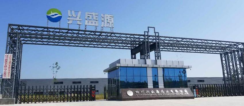 兴盛源药业委推成都公司建设官方网站-成都网站建设资讯_成都公司网站设计制作动态