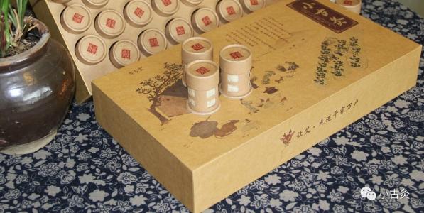 小古生物科技委托九度打造小古灸互