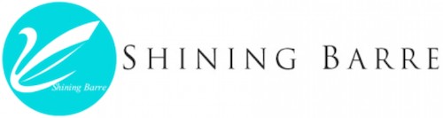 祝贺九度与barre闪灵形体签署网站优化服务协议