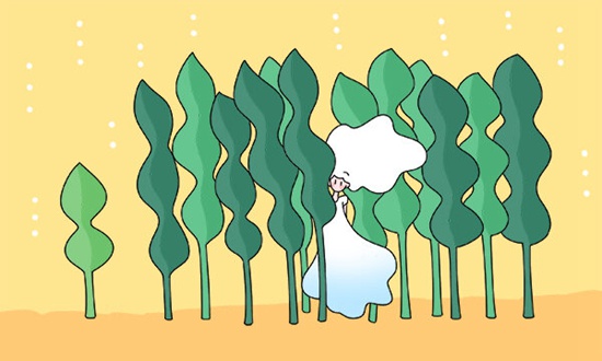 通过外交学院3+2留学去美国留学好吗？