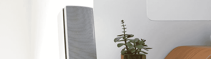 市场盛行哪些种类的网站建设?