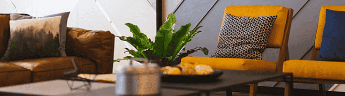 做网站建设的时候为什么会被降权呢?