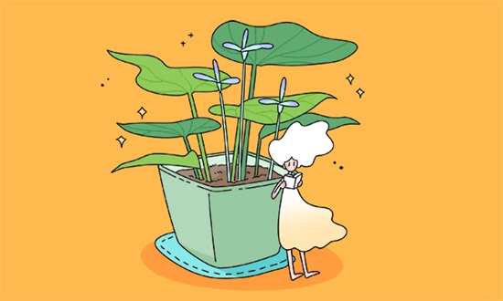 山东交通学院韩国留学项目有哪些专