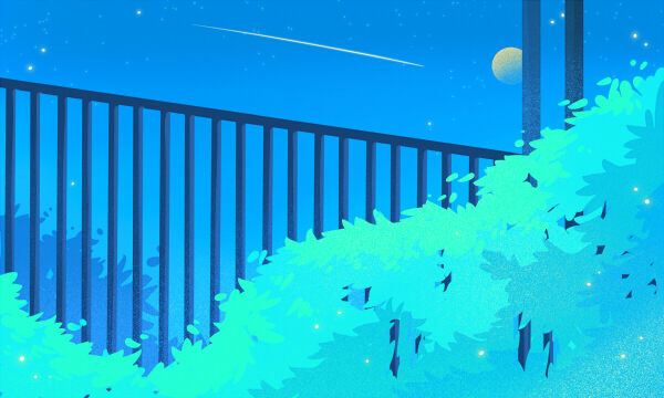 历政生最吃香的专业及录取分数线 历政生最吃香的专业及录取分数线