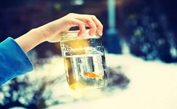 学会这七大技巧，英语七选五满分没问题!_高中学习_高考升学