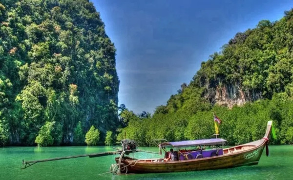 高中数学：选择题还可以这么蒙!_高中学习_高考升学