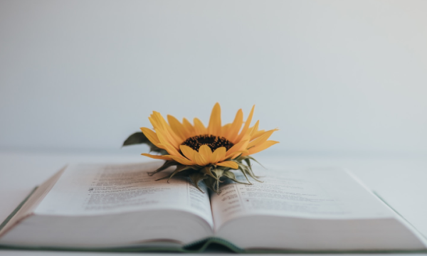 2025如何给孩子减压9句话 高考缓解压力的方法