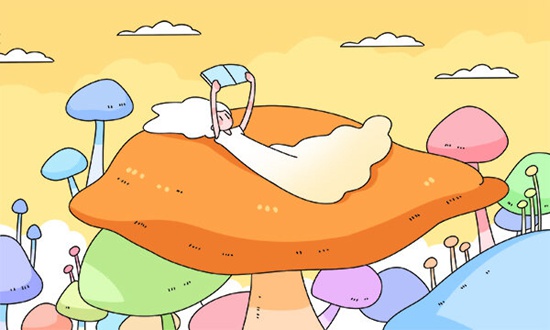 首都师范大学出国留学本科项目有哪些?