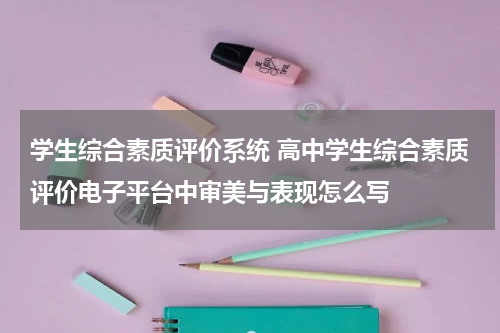 学生综合素质评价系统 高中学生综