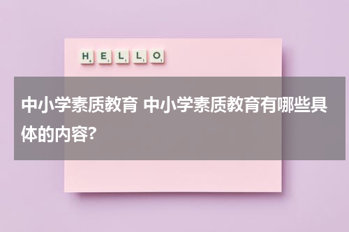 中小学素质教育 中小学素质教育有