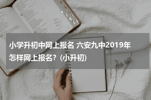 小学升初中网上报名 六安九中2019年怎样网上报名？(小升初)