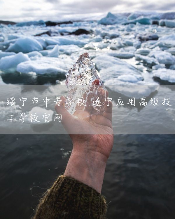 绥宁市中专学校 遂宁应用高级技工学校官网(图1)