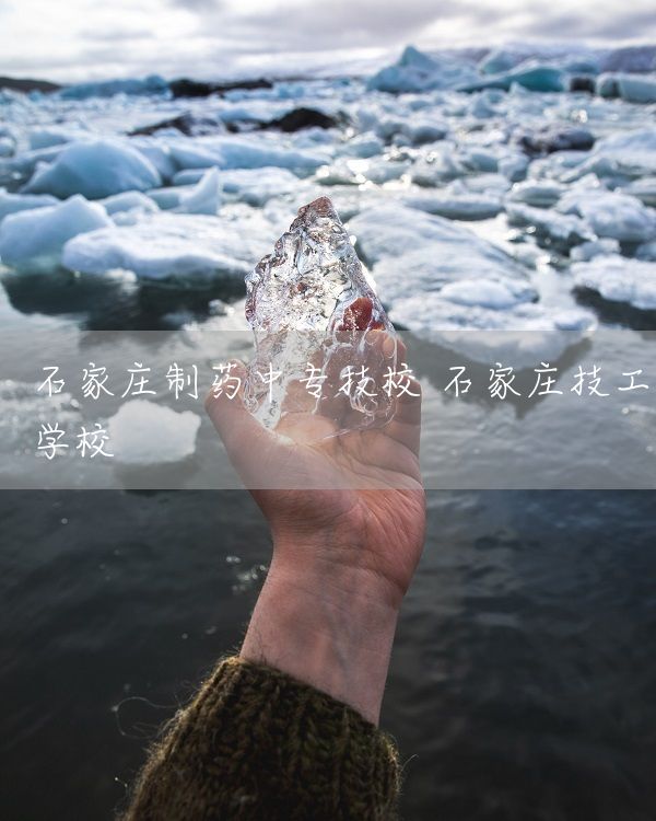 石家庄制药中专技校 石家庄技工学校(图2)