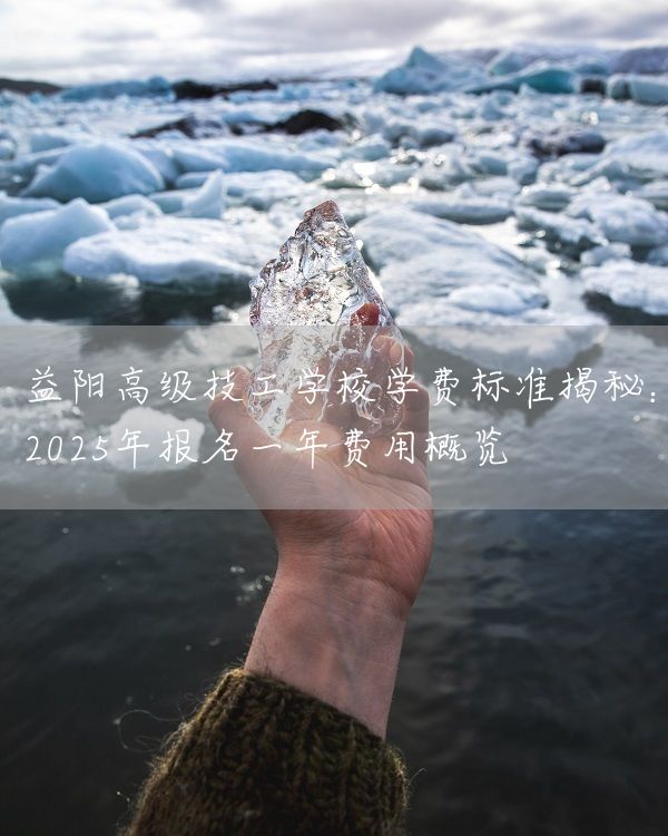 益阳高级技工学校学费标准揭秘：2025年报名一年费用概览(图2)