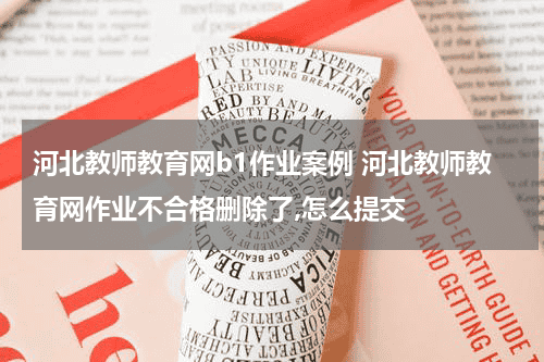 河北教师教育网b1作业案例 河北教