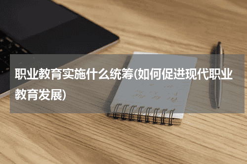 职业教育实施什么统筹(如何促进现
