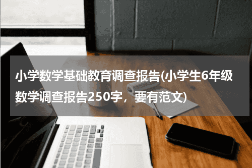 小学数学基础教育调查报告(小学生6年级数学调查报告250字，要有范文)教育资讯网-教育行业资讯百科大全