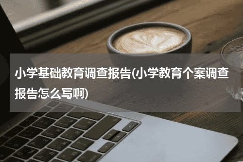 小学基础教育调查报告(小学教育个