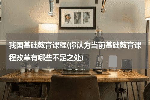 我国基础教育课程(你认为当前基础
