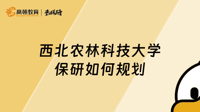 西北农林科技大学保研如何规划？大一到大三不可错过的保研指南