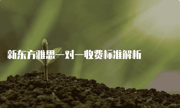 保定新东方雅思一对一收费标准解析