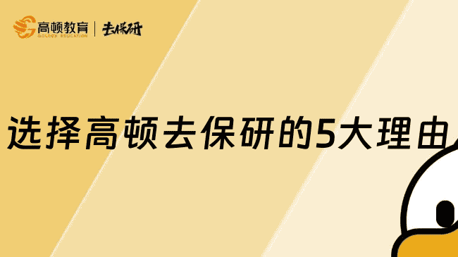 选择高顿去保研的理由