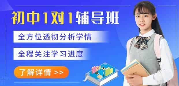 南宁龙文教育补习班-龙文初中一对一培训班