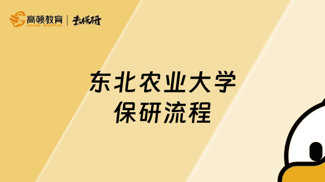 东北农业大学保研流程有哪些？大一新生必看保研攻略