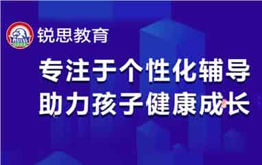 你敢信？2025上海锐思教育一对一收费标准这么划算