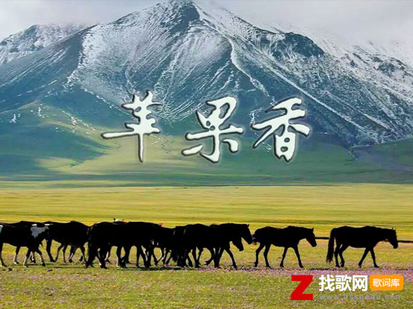 六星街里还传来巴扬琴声吗什么歌，《苹果香》歌曲介绍