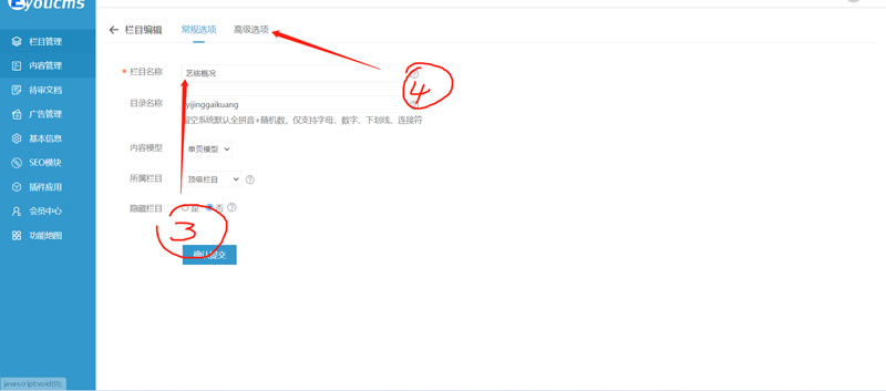 需要更改栏目名称的话，就直接修改“栏目名称”后面的字，修改完后点击下面的“确认提交”即可；如果需要更改栏目的seo关键词，则需点开“高级选项”